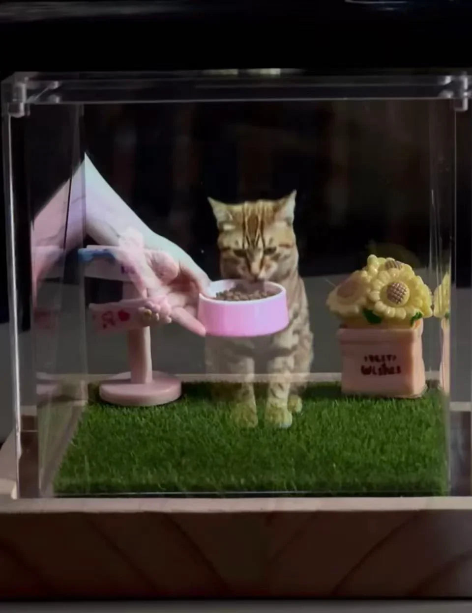 宠物定制投影仪 | Custom Pet Projector Night Light – Your Pet's Shadow at Night