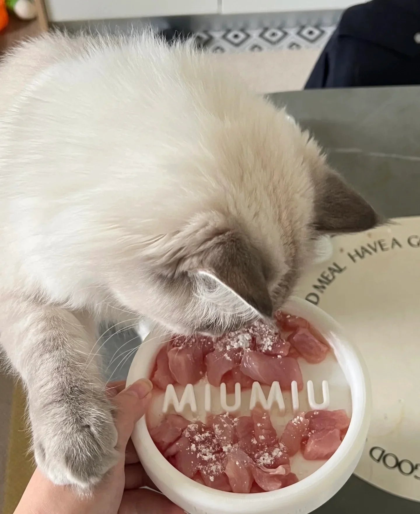 宠物慢食碗 | Pet Slow Feeder Bowl – Healthier Eating for Happy Pets