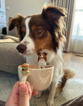 宠物 3D 定制杯 | Pet 3D Magic Reveal Mug – Your Pet Appears With Every Hot Drink