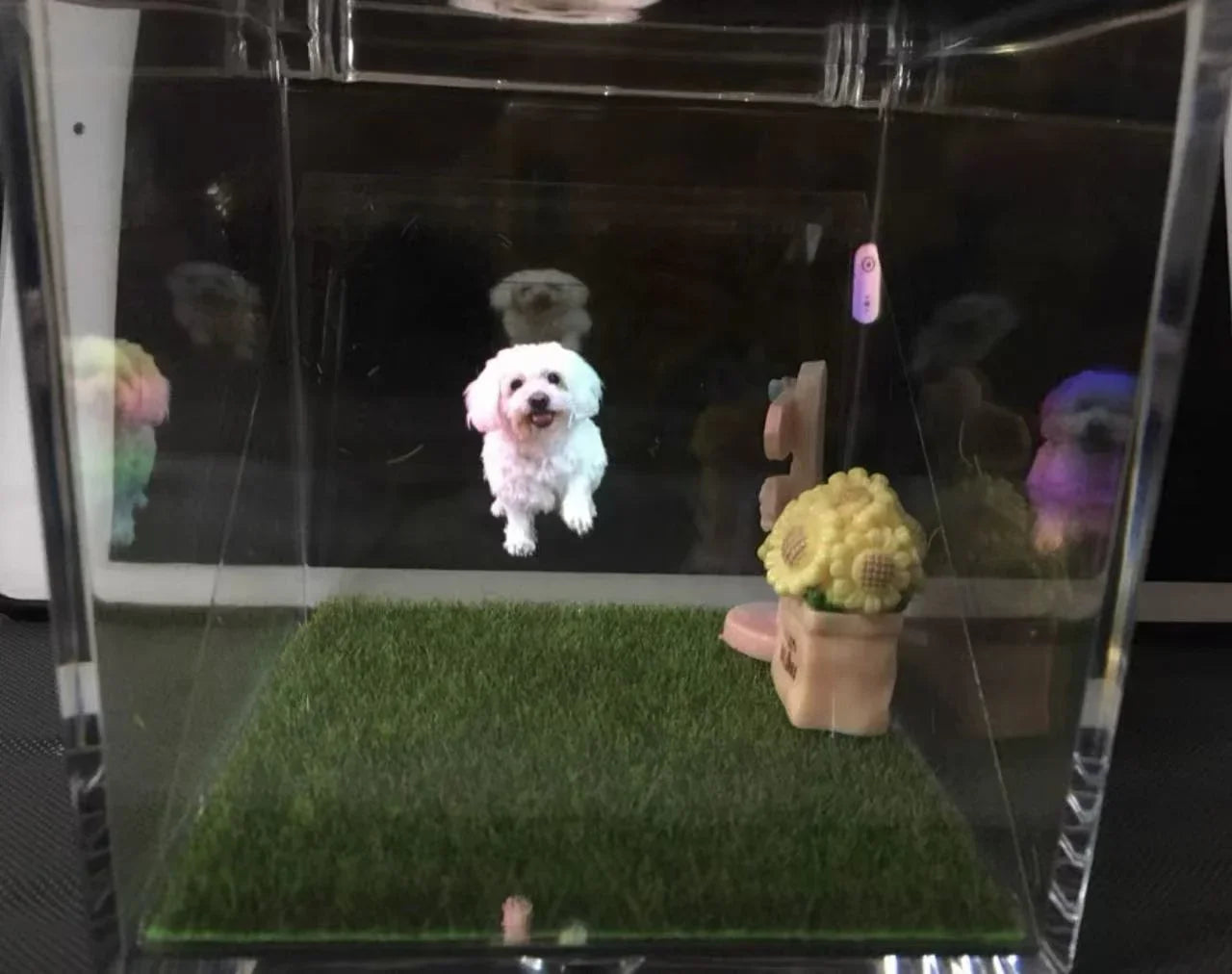 宠物定制投影仪 | Custom Pet Projector Night Light – Your Pet's Shadow at Night