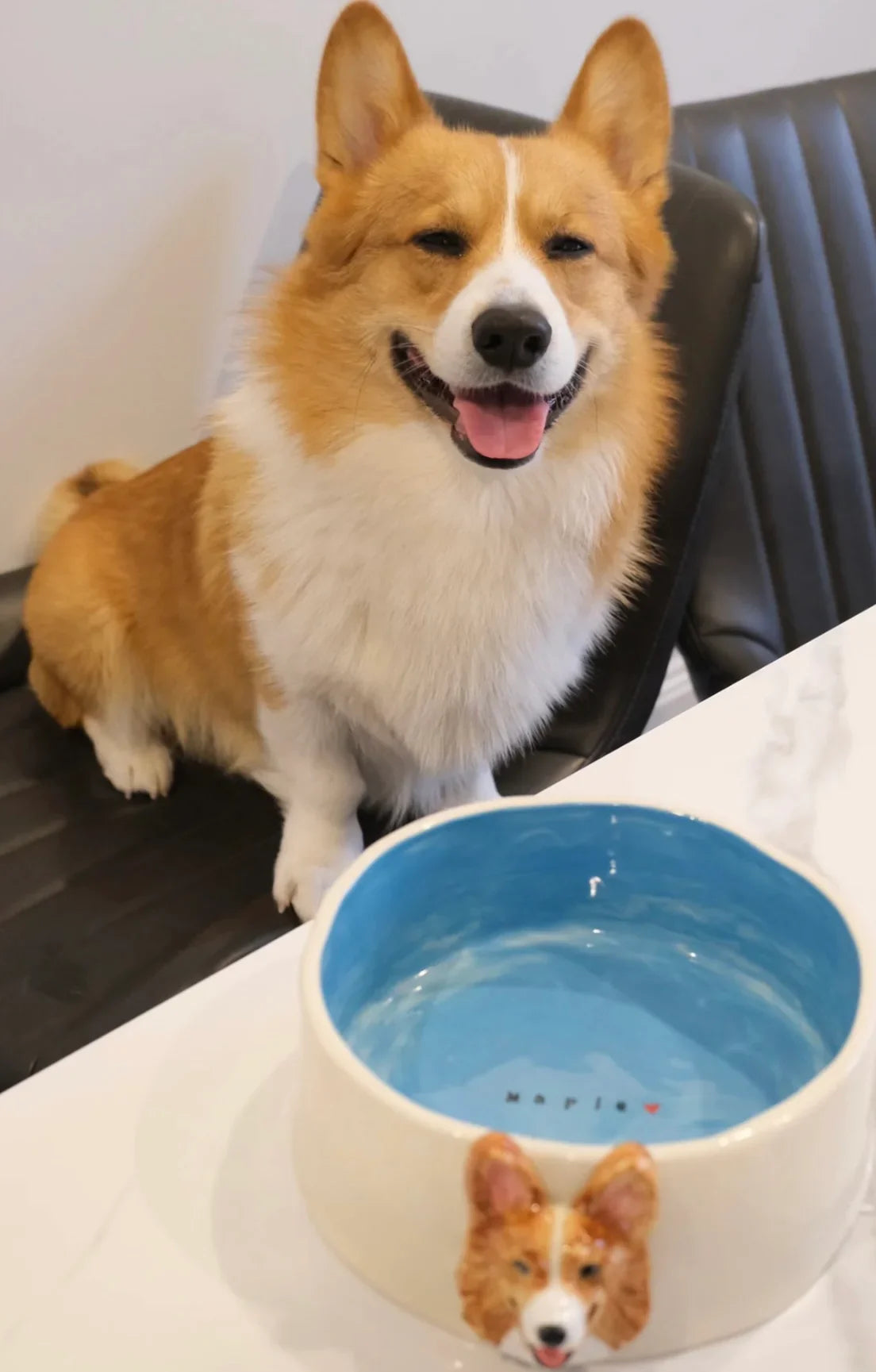 宠物饮水碗 | Pet Water Bowl – Fresh & Clean Hydration for Your Pet