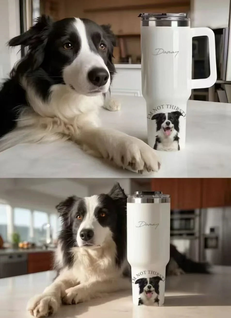 宠物定制水杯 | Custom Pet Water Bottle – Carry Your Pet's Face Everywhere